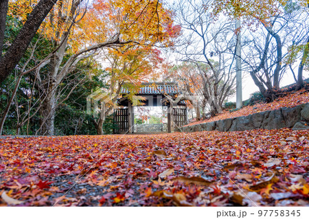 【徳島県】丈六寺の紅葉　 97758345
