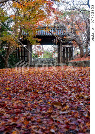 【徳島県】丈六寺の紅葉　 97758358