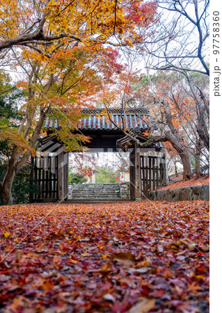 【徳島県】丈六寺の紅葉　 97758360