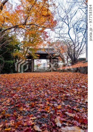 【徳島県】丈六寺の紅葉 【徳島県】丈六寺の紅葉 97758364