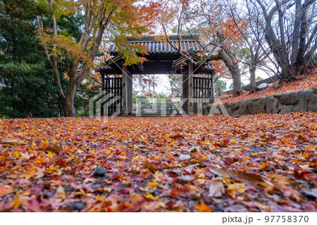 【徳島県】丈六寺の紅葉 【徳島県】丈六寺の紅葉 97758370