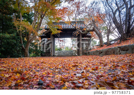 【徳島県】丈六寺の紅葉　 97758371