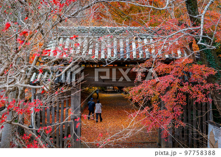 【徳島県】丈六寺の紅葉　 97758388