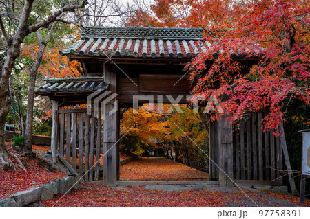 【徳島県】丈六寺の紅葉　 97758391