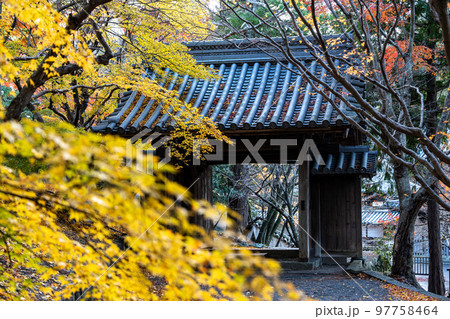 【徳島県】丈六寺の紅葉　 97758464