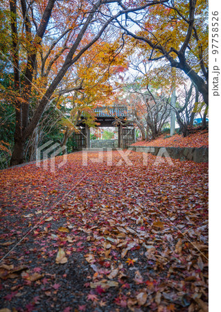 【徳島県】丈六寺の紅葉　 97758526