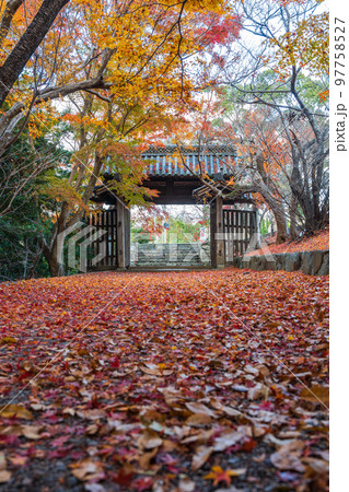 【徳島県】丈六寺の紅葉　 97758527
