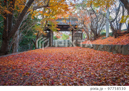 【徳島県】丈六寺の紅葉　 97758530