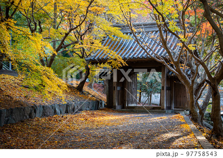 【徳島県】丈六寺の紅葉　 97758543