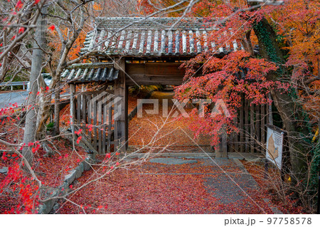【徳島県】丈六寺の紅葉　 97758578
