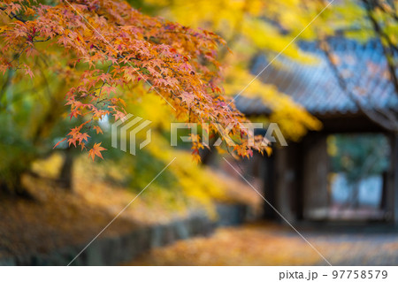【徳島県】丈六寺の紅葉  【徳島県】丈六寺の紅葉  97758579