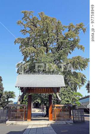妙延寺(練馬) 妙延寺(練馬) 97758949