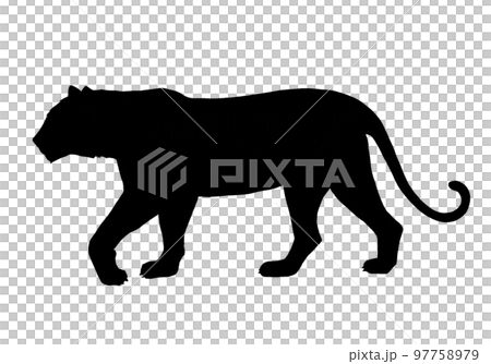 Silhouette illustration of a walking tiger Silhouette illustration of a walking tiger 97758979