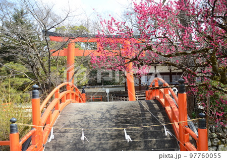 京都・下鴨神社 京都・下鴨神社 97760055