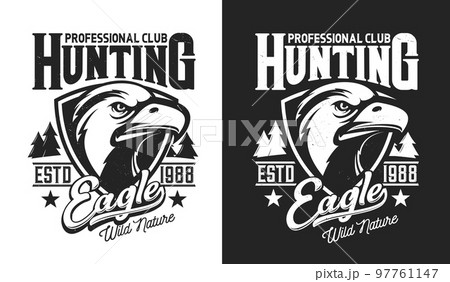 Hunting club t-shirt print, eagle mascot for hunters, vector hawk or falcon emblem. Wild hunt club emblem with forest trees and eagle bird head on shield with stars, hunters association badge 97761147