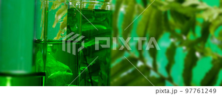 Tube Lab drug research, Natural organic and scientific extraction in glassware, Forest Leaf green herb medicine, Natural skin care beauty products, Laboratory and development concept from Green Nature 97761249