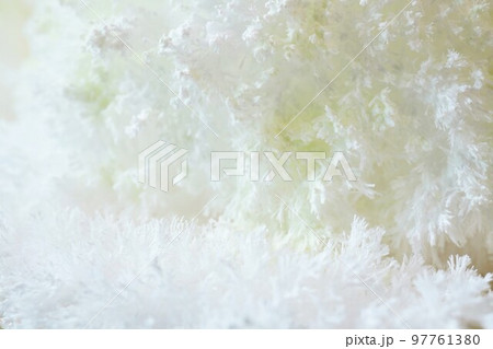 フワフワの雪のような白い尿素の針状結晶の接写 97761380