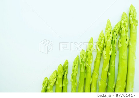 ホワイトバックに階段状に斜めに並んだ緑の野菜、アスパラガス 97761417