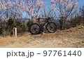 江田島　真道山千本桜 97761440
