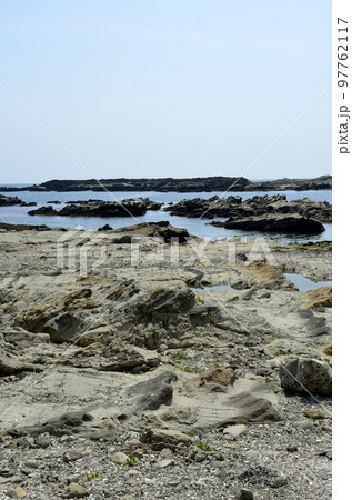 岩礁海岸  潮が引いた磯　海辺の環境 97762117