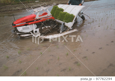 Agriculture Agriculture 97762294