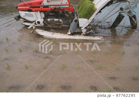 Agriculture 97762295