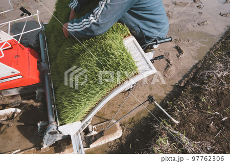 Agriculture 97762306