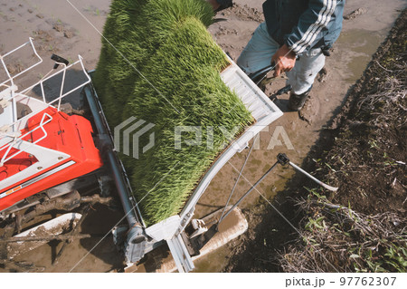 Agriculture 97762307