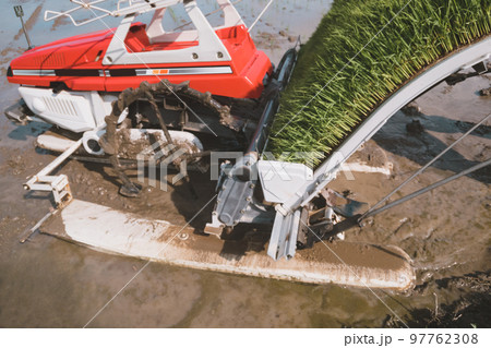 Agriculture 97762308