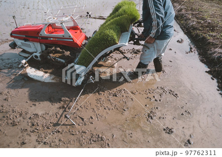Agriculture 97762311