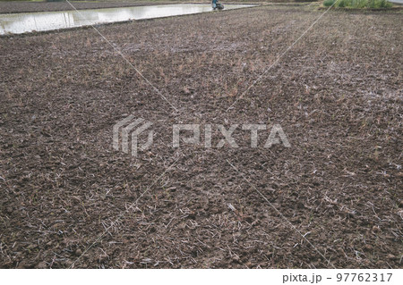 Agriculture 97762317