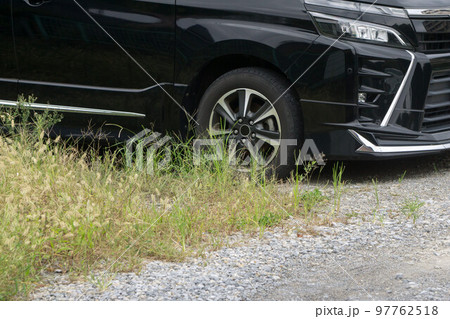 駐車場の雑草  97762518