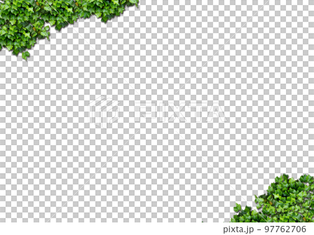 png、背景透明素材/常春藤（vine/ivy）/轉角設計部分 97762706