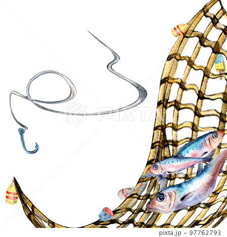 Composition of sardines and fishnet watercolor illustration isolated on white. 97762793