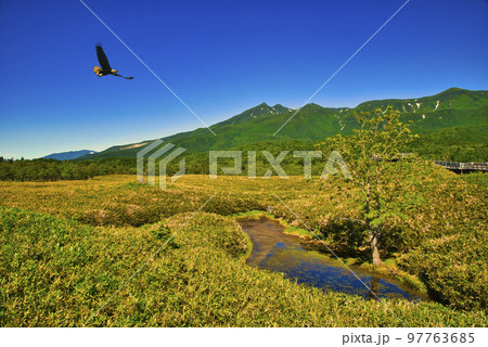 世界遺産・知床五胡と知床連山の夏景色 世界遺産・知床五胡と知床連山の夏景色 97763685