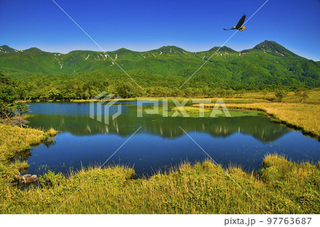 世界遺産・知床五胡と知床連山の夏景色 世界遺産・知床五胡と知床連山の夏景色 97763687