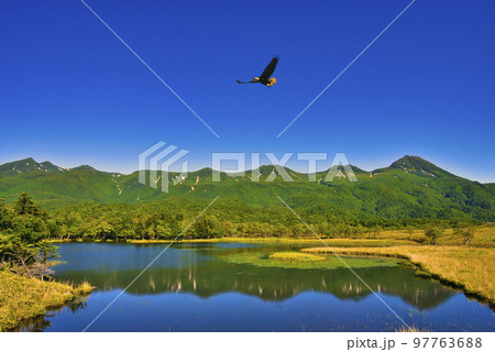 世界遺産・知床五胡と知床連山の夏景色 世界遺産・知床五胡と知床連山の夏景色 97763688