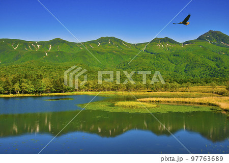 世界遺産・知床五胡と知床連山の夏景色 世界遺産・知床五胡と知床連山の夏景色 97763689