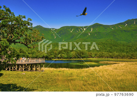 世界遺産・知床五胡と知床連山の夏景色 世界遺産・知床五胡と知床連山の夏景色 97763690