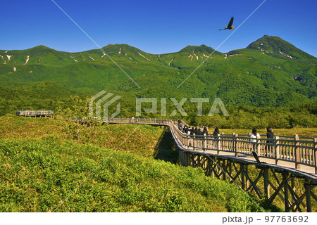 世界遺産・知床五胡と知床連山の夏景色 世界遺産・知床五胡と知床連山の夏景色 97763692