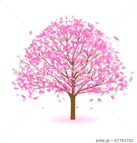桜 春 花 アイコン 桜 春 花 アイコン 97763702
