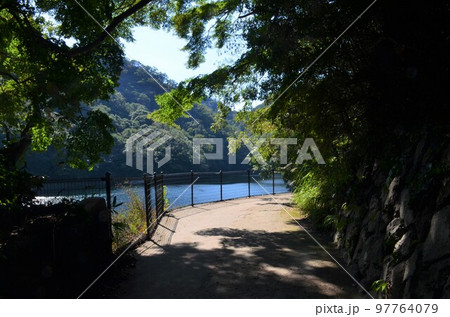 布引貯水池沿いの道 布引貯水池沿いの道 97764079