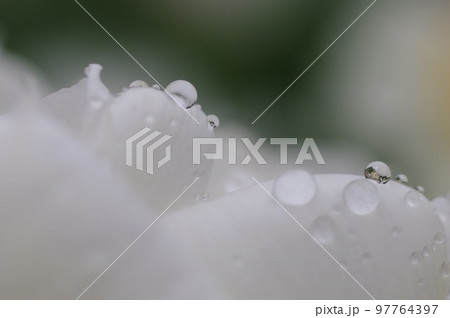 どんより曇った憂鬱な天気 97764397