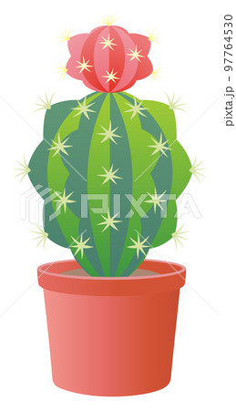 サボテン 97764530
