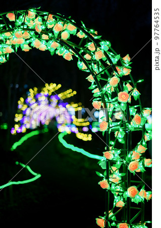 グリムの森イルミネーションの薔薇のイルミネーション 97764535