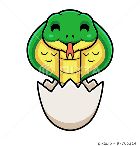 Cute little cobra snake cartoon inside an egg Cute little cobra snake cartoon inside an egg 97765214