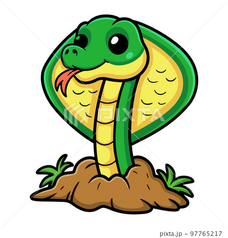 Cute little cobra snake cartoon Cute little cobra snake cartoon 97765217