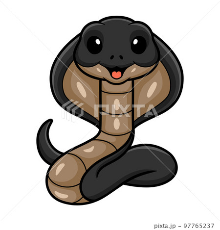 Cute javan spitting cobra cartoon 97765237