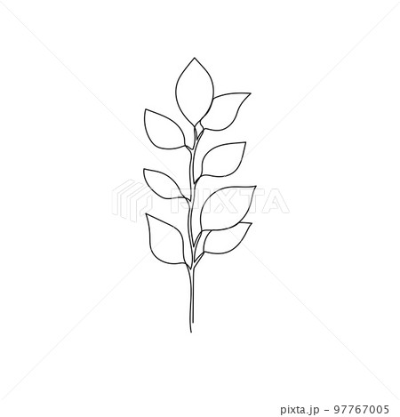 Outline plant eucalyptus leaf. One continuous line art decorative plant leaf. Editable stroke eucalyptus foliage floral element. Isolated Outline plant eucalyptus leaf. One continuous line art decorative plant leaf. Editable stroke eucalyptus foliage floral element. Isolated 97767005