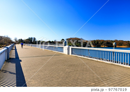 東京都東大和市　村山貯水池（多摩湖）の堤体からの風景 97767019